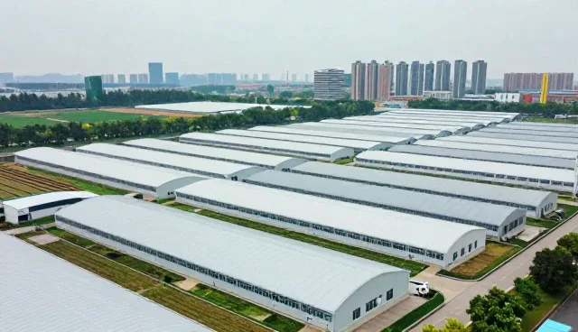 移动应用开发中信息化系统性能优化策略